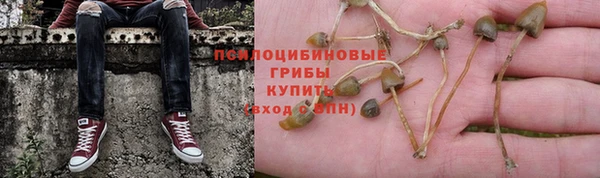 скорость Аркадак