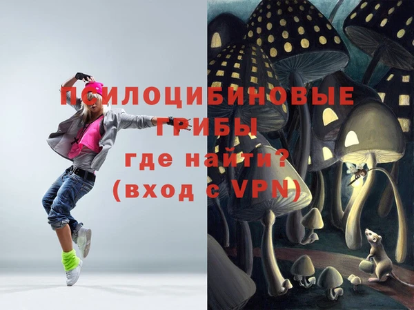мдпв Балабаново