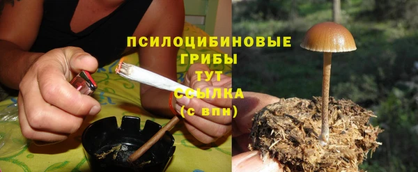 соль курить ск Арсеньев