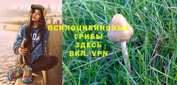 соль курить ск Арсеньев