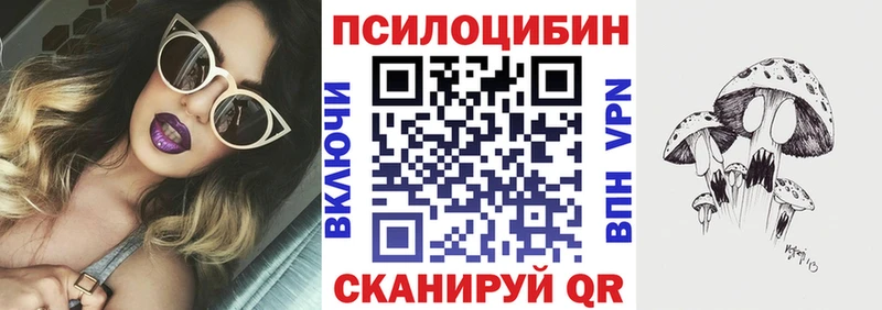 Купить где  Цивильск  Галлюциногенные грибы ЛСД 